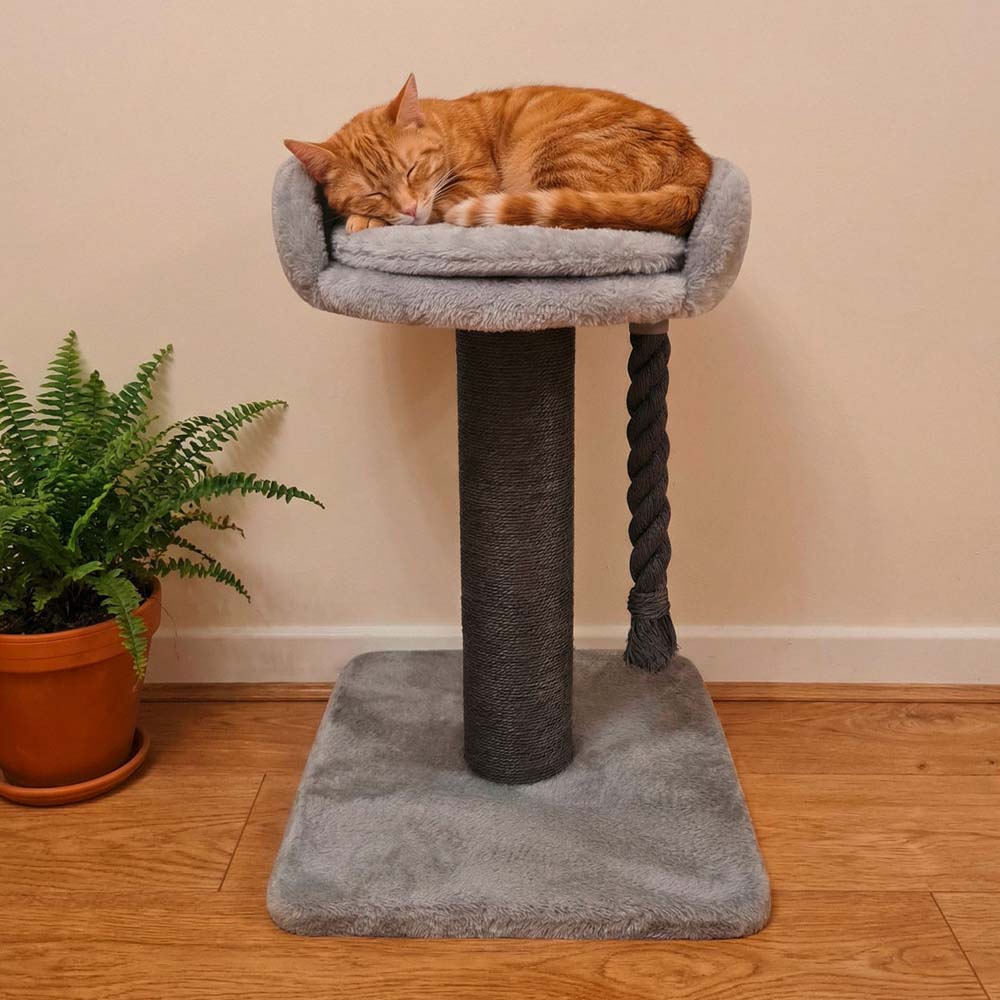 TRIXIE Klara XXL Cat Tree 39.4" – Heavy Duty Scratching Post with Cosy Bed (Grey)