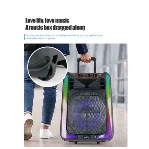 15 Inch Trolley Bluetooth Speaker – Portable Wireless Sound System -2 microphone