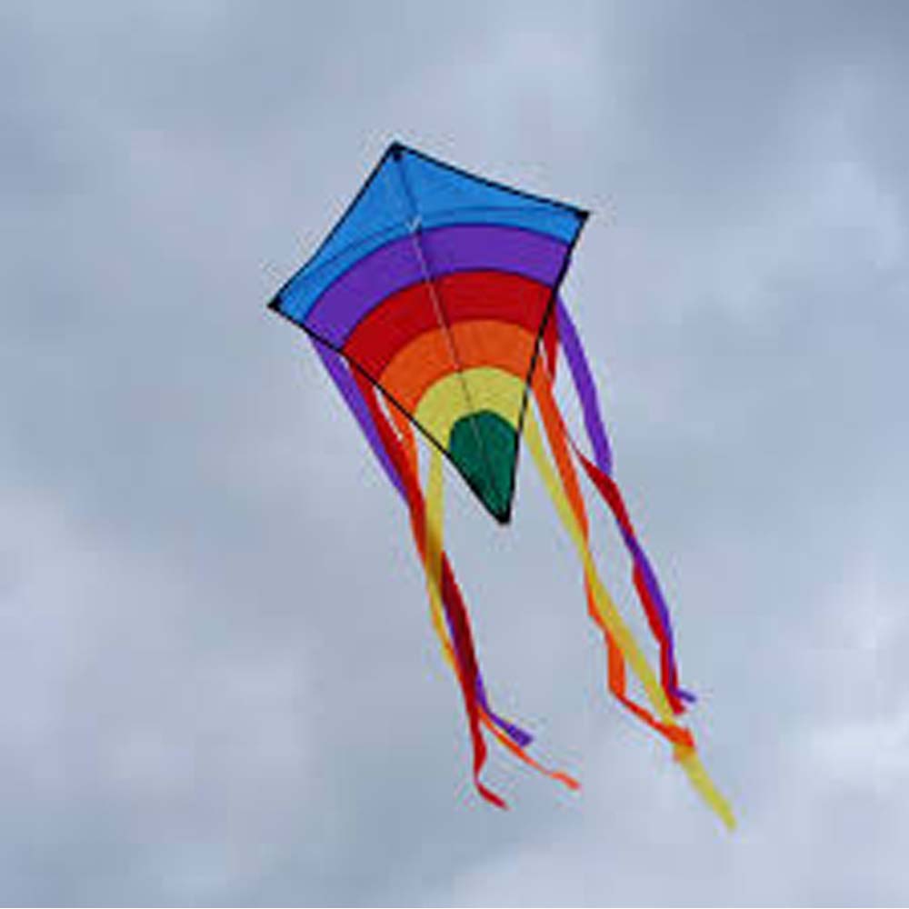 Colorful Outdoor Flying Kite with Handle & Carrying Bag