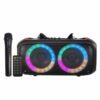 NDR Q68 Dual 6.5-Inch Party Speaker with Wireless Microphone