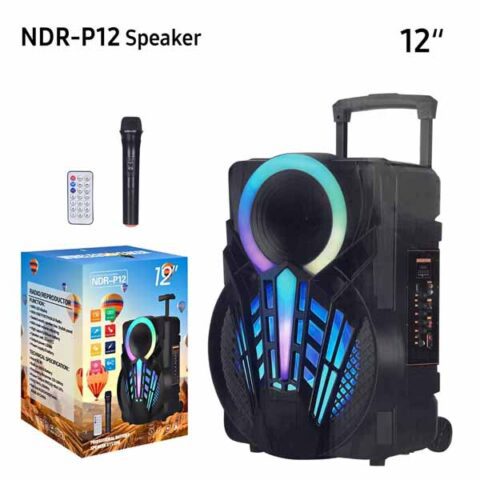 NDR-P12 Portable Bluetooth Speaker